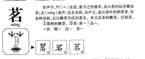 茗字五行|茗字的五行属什么